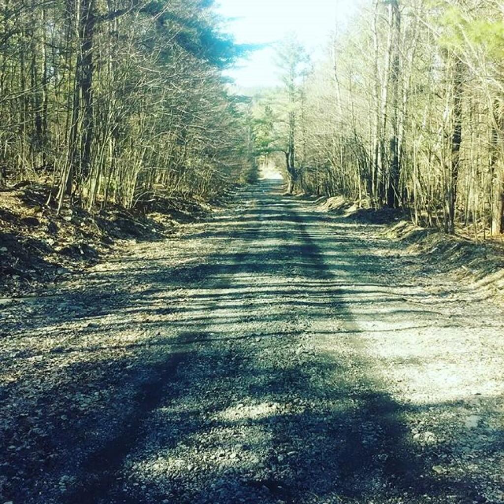Photo: They've improved Beaver Road with millings