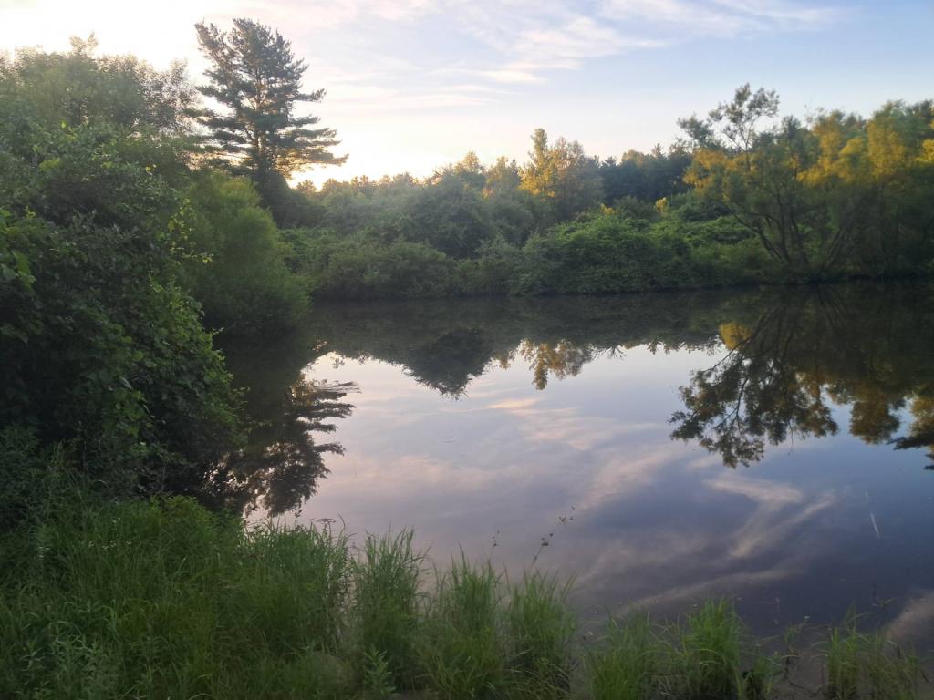Photo: Research Pond [Expires July 31 2026]