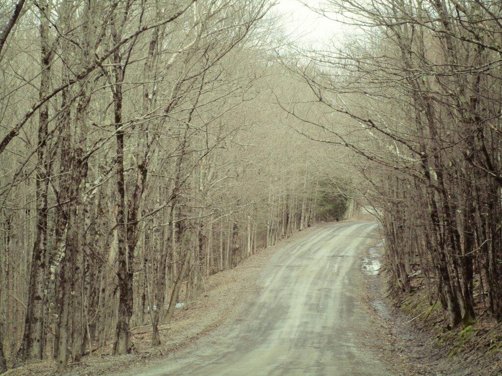Photo: While The Roads Wherent Muddy, They Were Soft