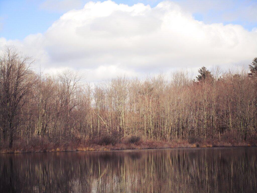 Photo: Smaller Pond Along Beaver Road Photo: Smaller Pond Along Beaver Road