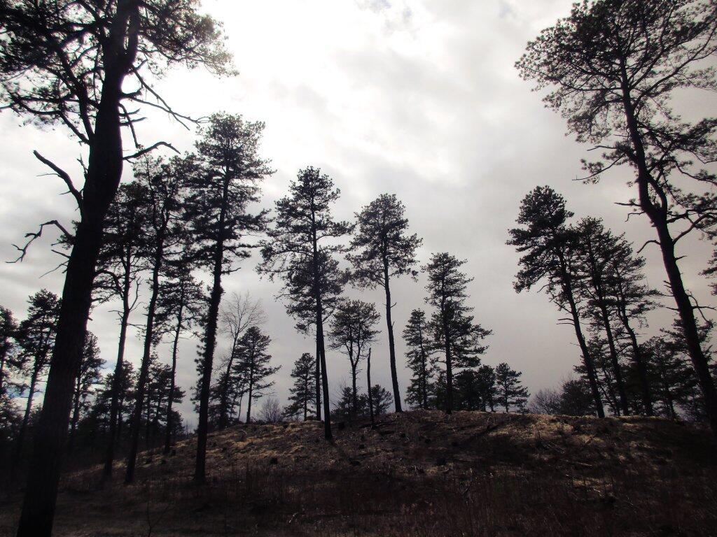 Photo: Cloudy Afternoon Photo: Cloudy Afternoon