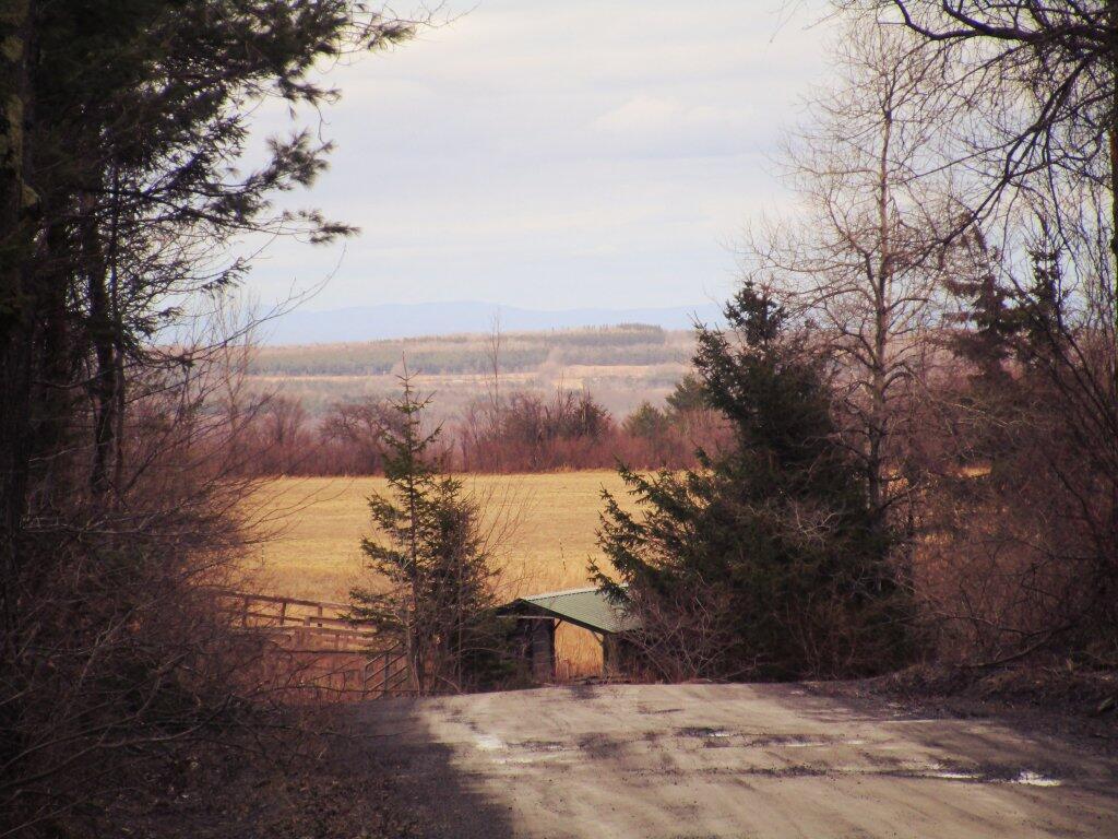 Photo: East Photo: East