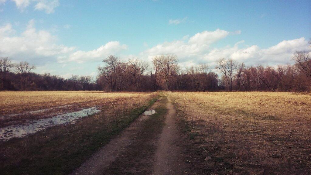 Photo: Roadway