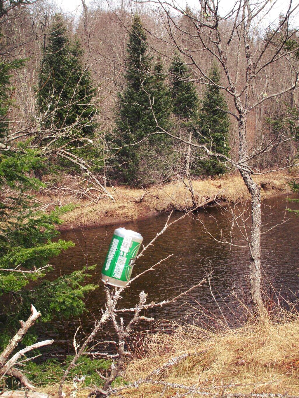 Photo: Beer Photo: Beer
