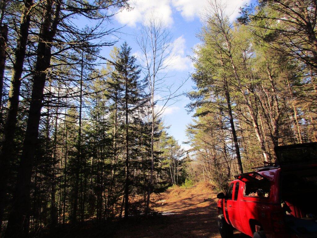 Photo: Nice Afternoon At Camp Photo: Nice Afternoon At Camp