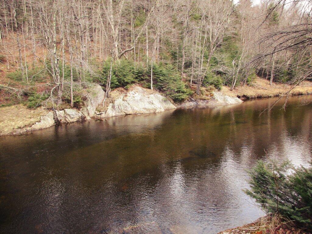 Photo: Swimming Hole Photo: Swimming Hole
