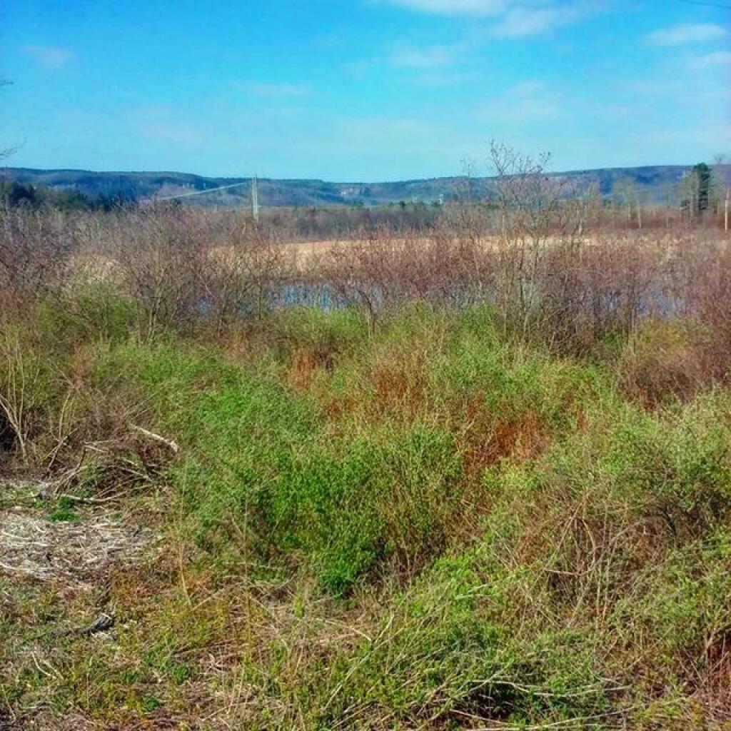Photo: Escarpment Photo: Escarpment