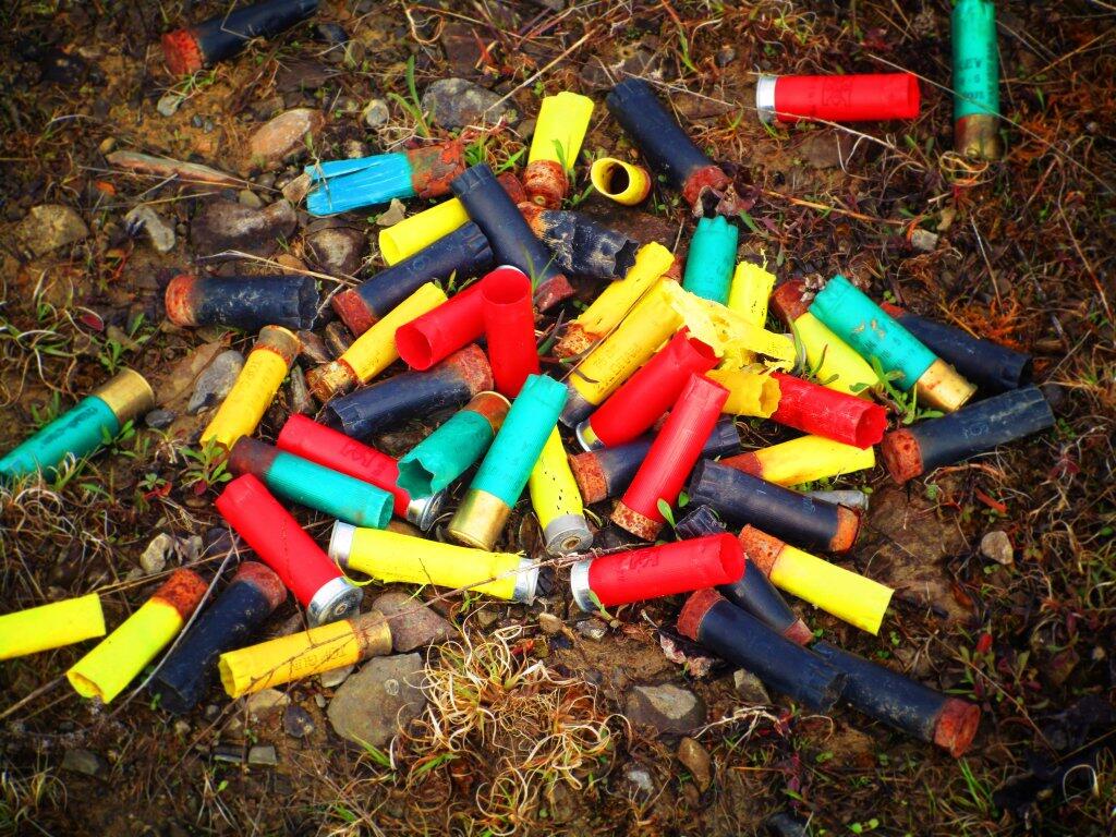 Photo: Piles Of Fun Photo: Piles Of Fun