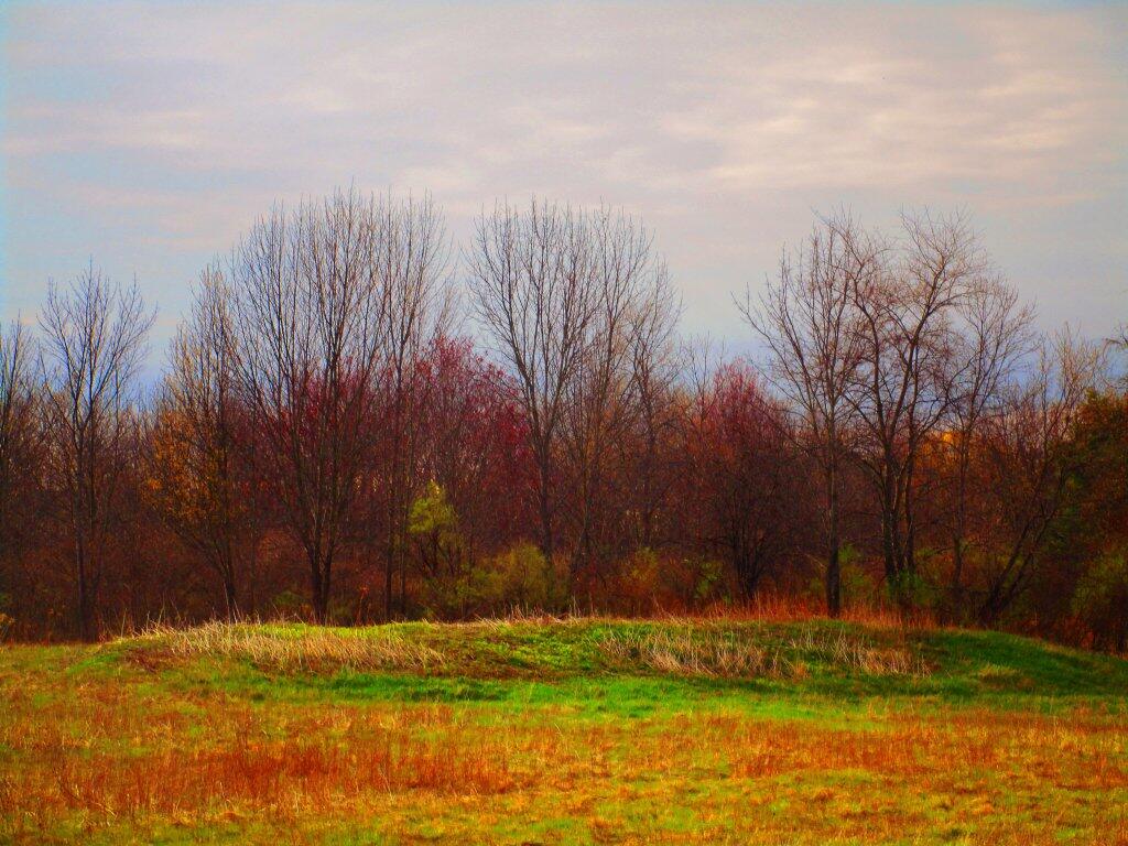 Photo: Spring Is Coming Photo: Spring Is Coming