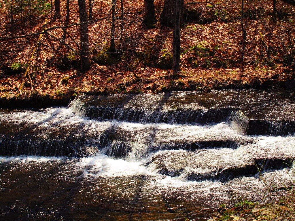 Photo: Falls Along Partridge Run Road Photo: Falls Along Partridge Run Road