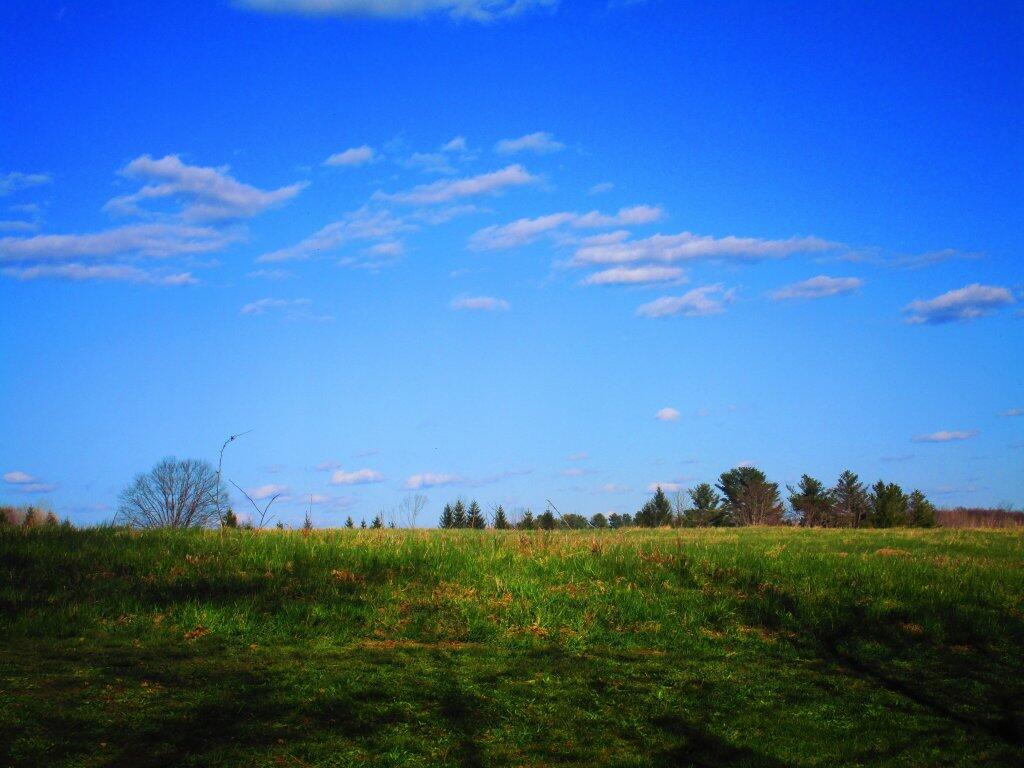 Photo: Beautiful Afternoon Photo: Beautiful Afternoon