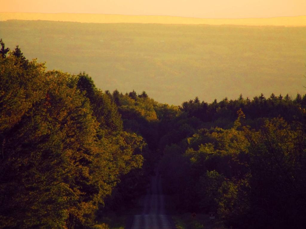 Photo: Evening