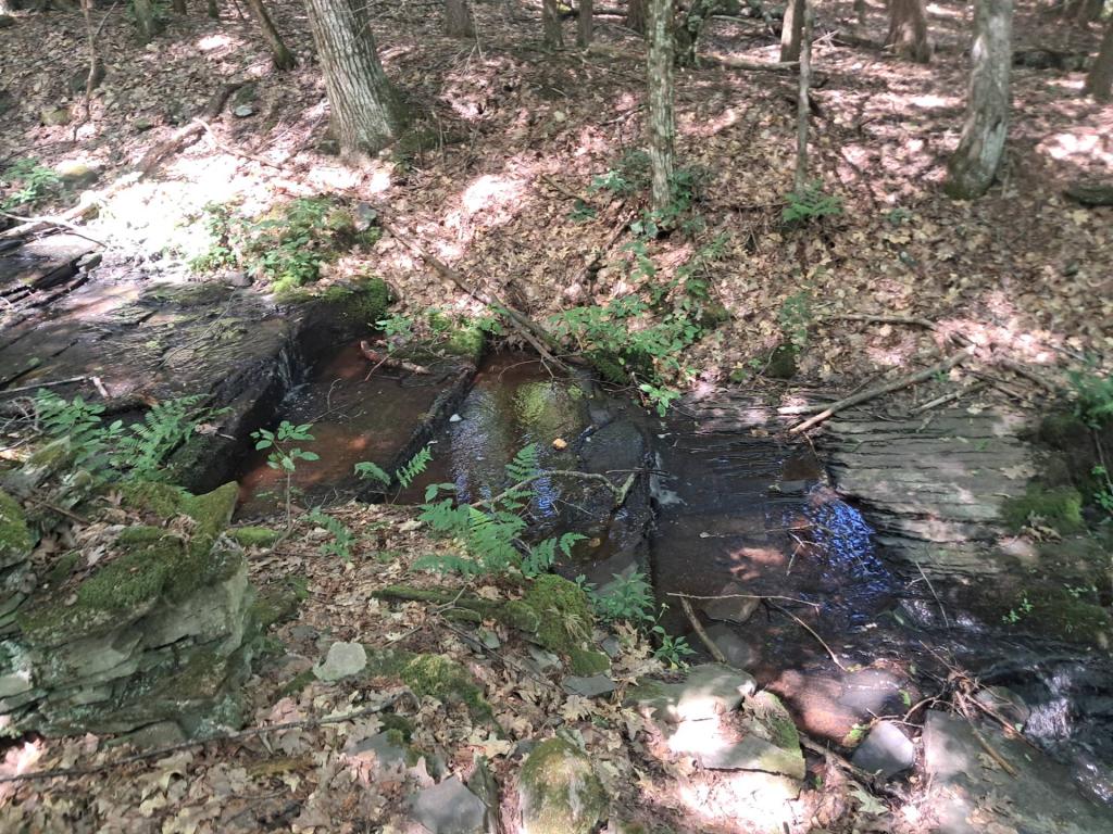 Photo: Falls below Looking Glass Pond [Expires August 7 2026]