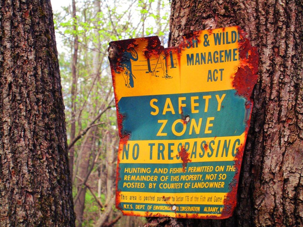 Photo: Safety Zone Photo: Safety Zone