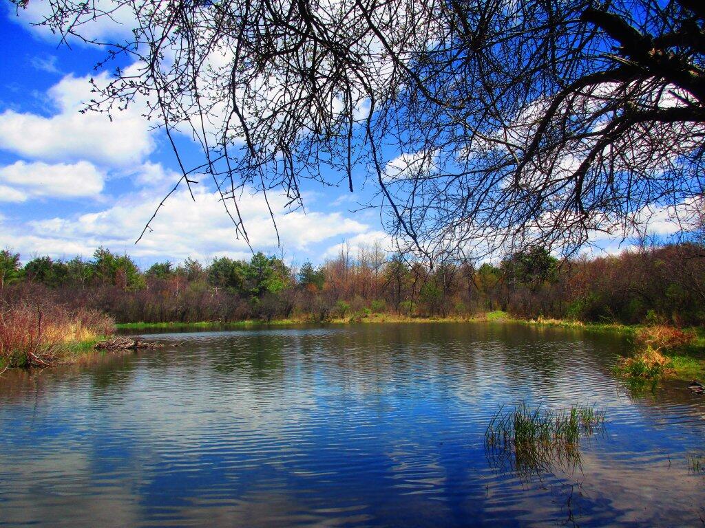Photo: Thacher Park Pond Photo: Thacher Park Pond