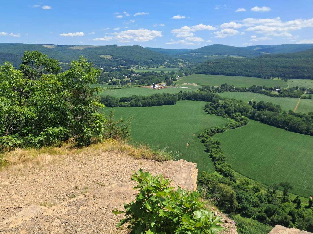 Photo: Middleburg [Expires August 7 2026]