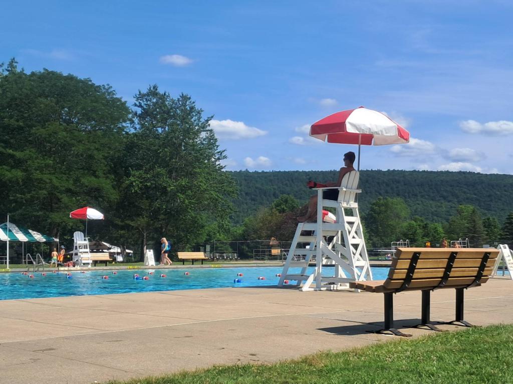 Photo: Summer days at Mine Kill [Expires August 7 2026]