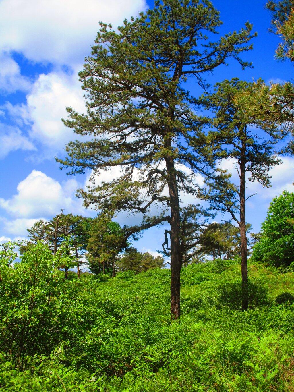 Photo: Beautiful Day Photo: Beautiful Day