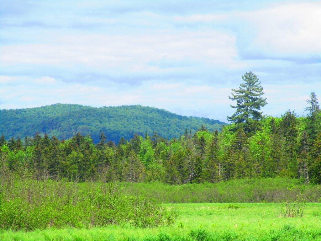 Photo: Willis Mountain