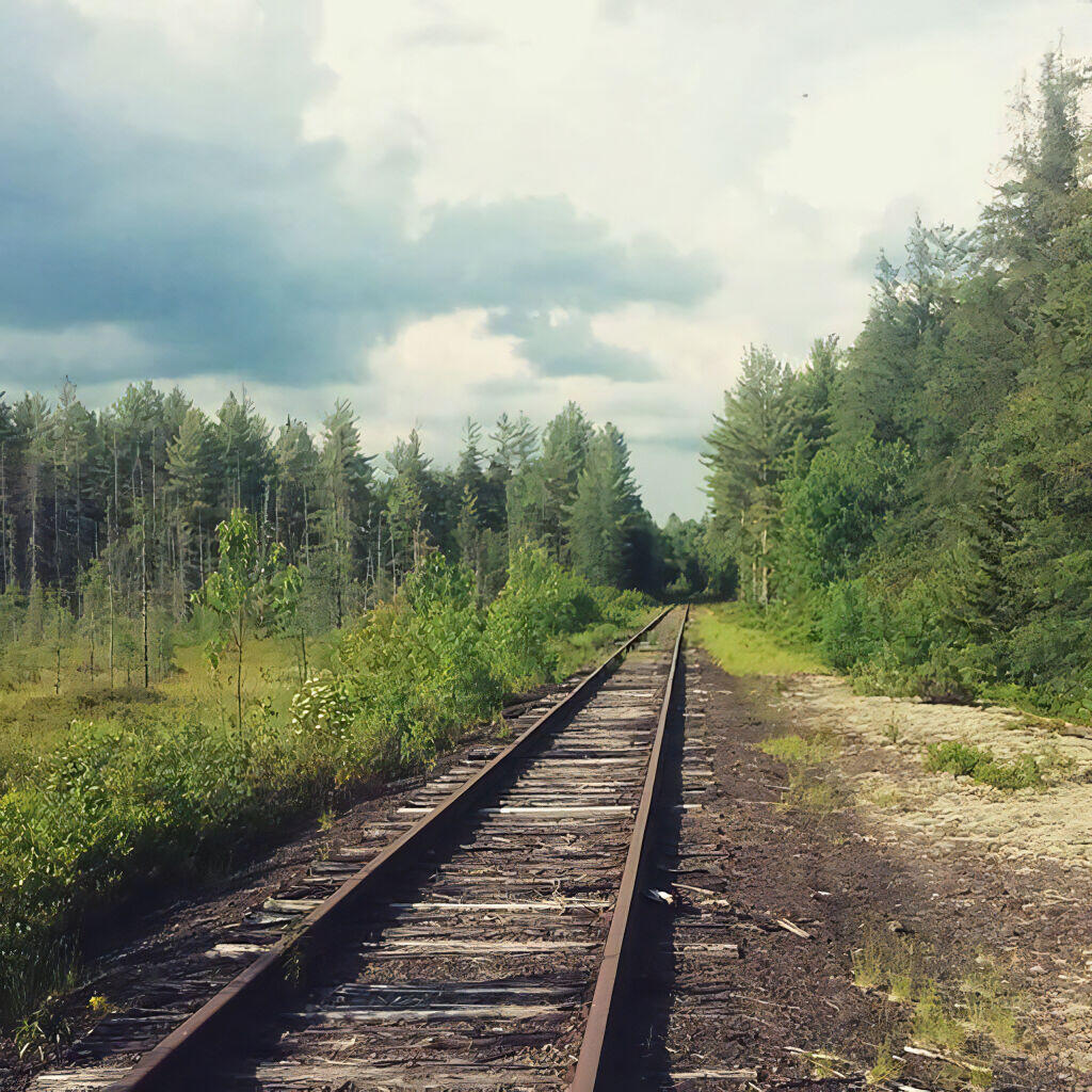 Photo: East of the Bog River Flow Photo: East of the Bog River Flow