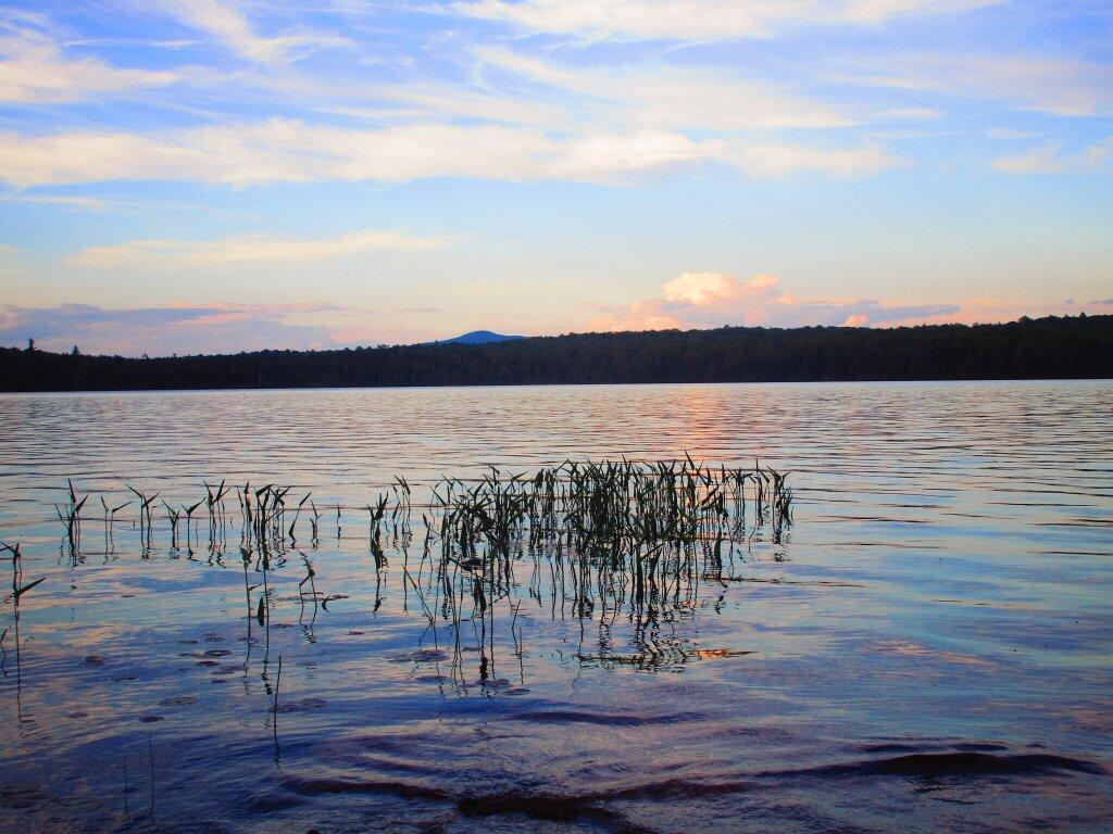 Photo: Evening Photo: Evening