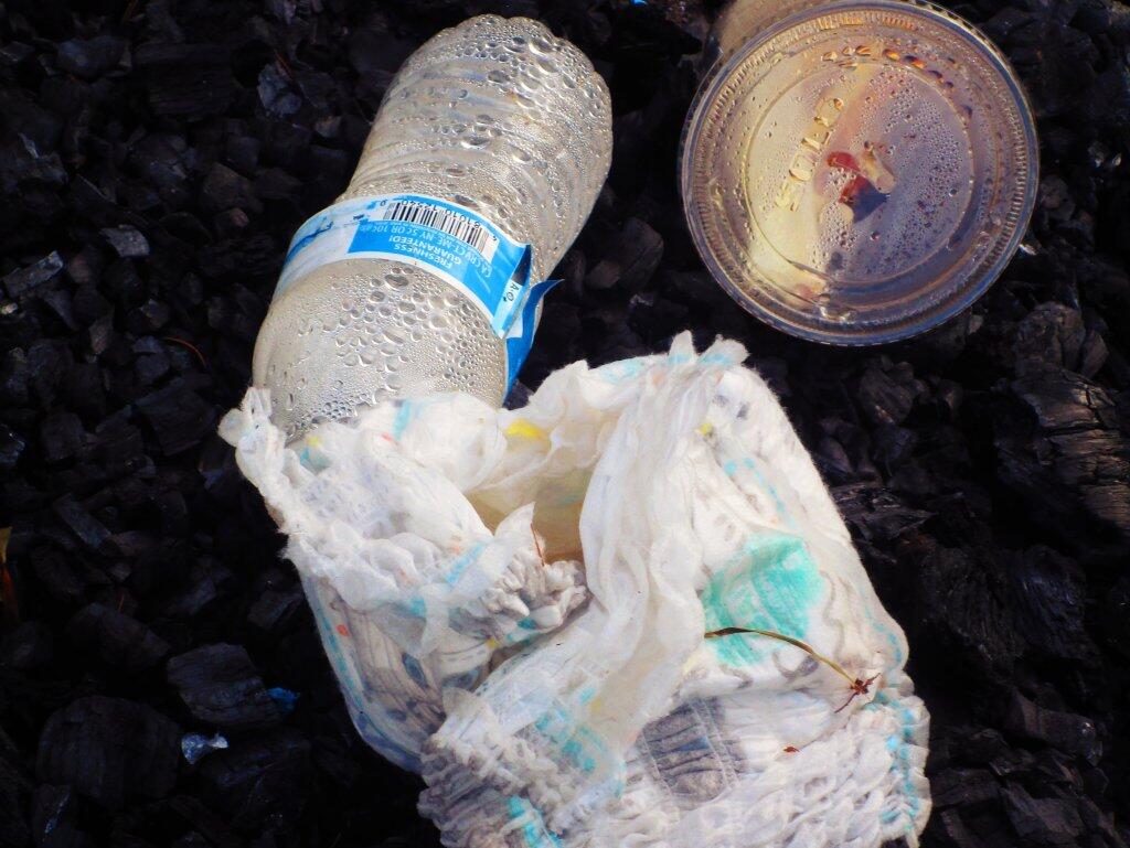 Photo: Litter Photo: Litter