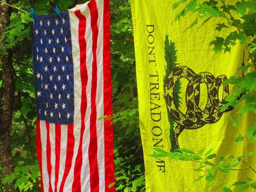 Photo: Don't Tread On Me Photo: Don't Tread On Me