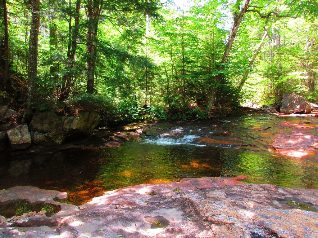 Photo: Upper Pool Photo: Upper Pool