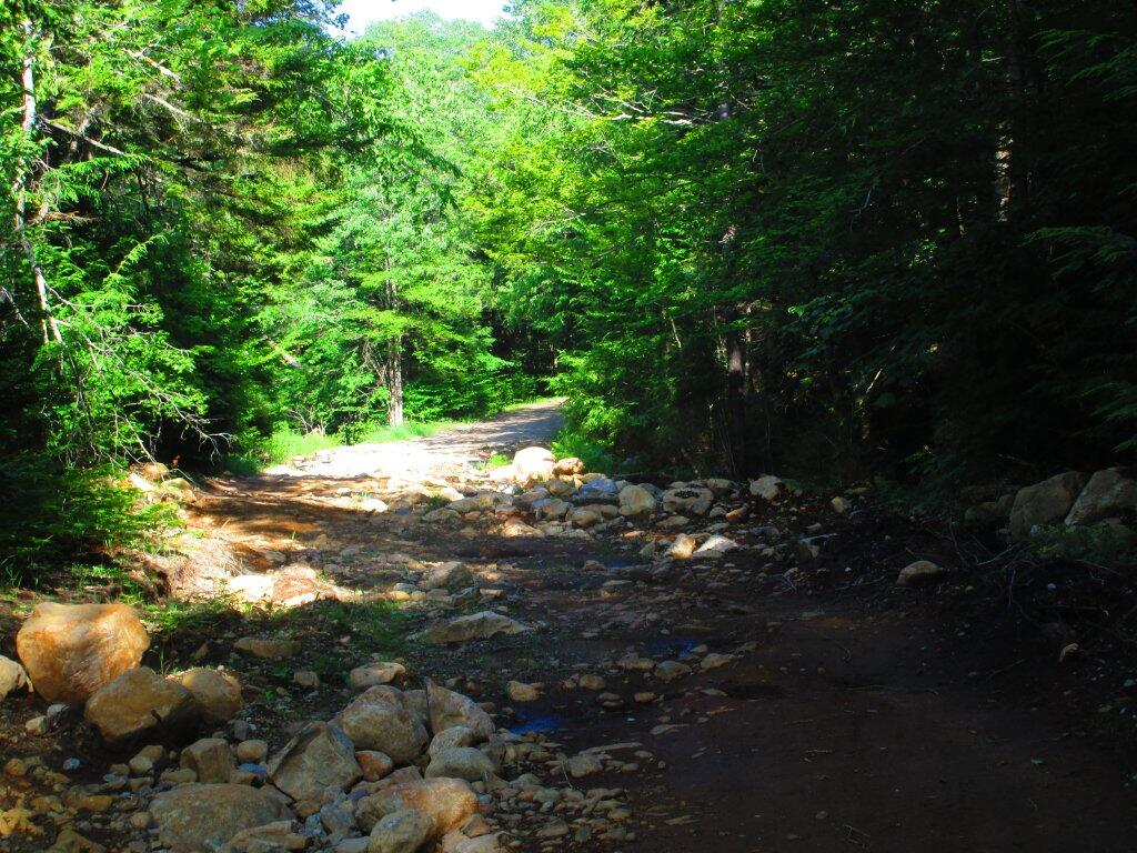 Photo: Washout Along East Canada Creek Photo: Washout Along East Canada Creek