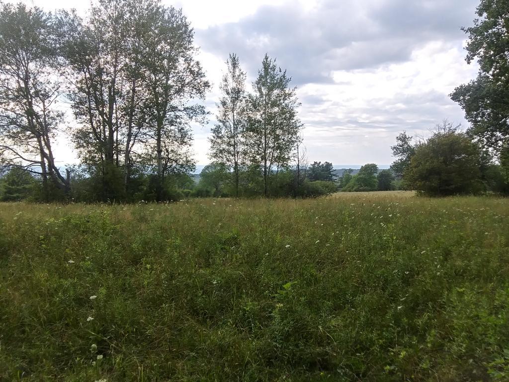 Photo: Grasslands Photo: Grasslands