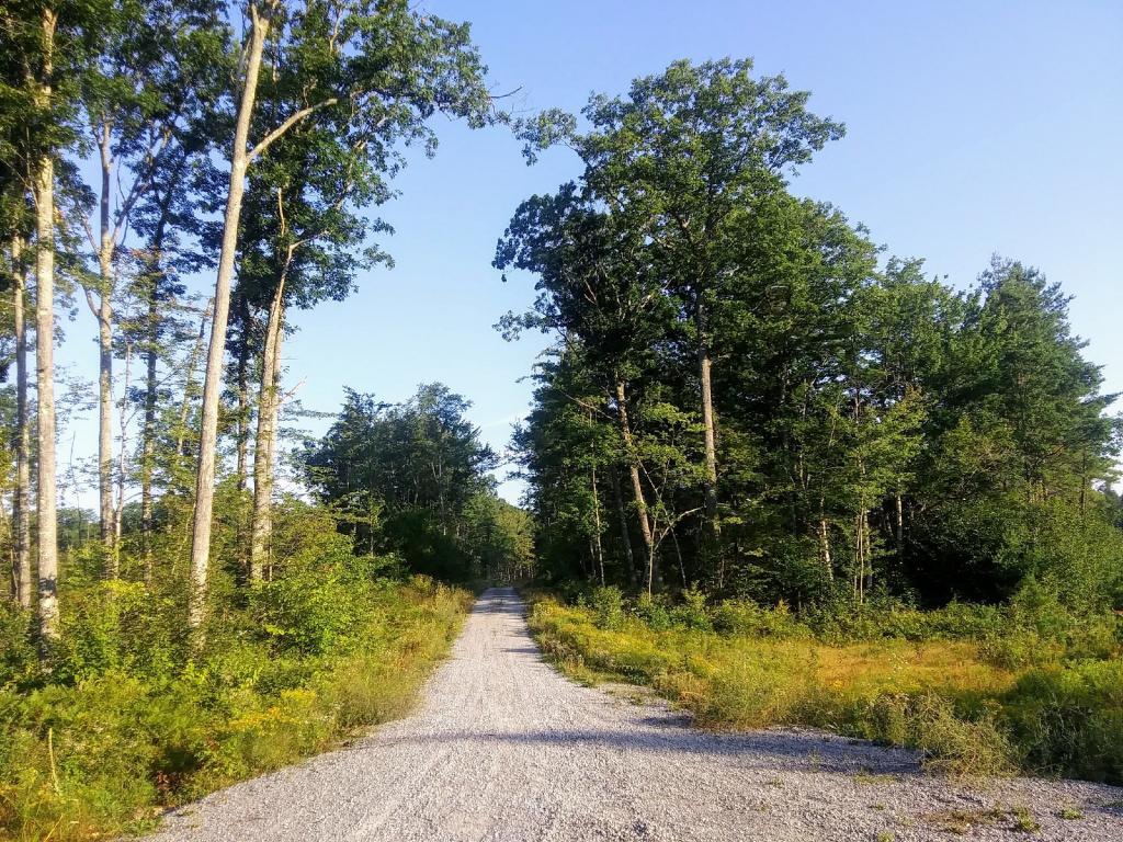 Photo: Duck Pond Road π Photo: Duck Pond Road π