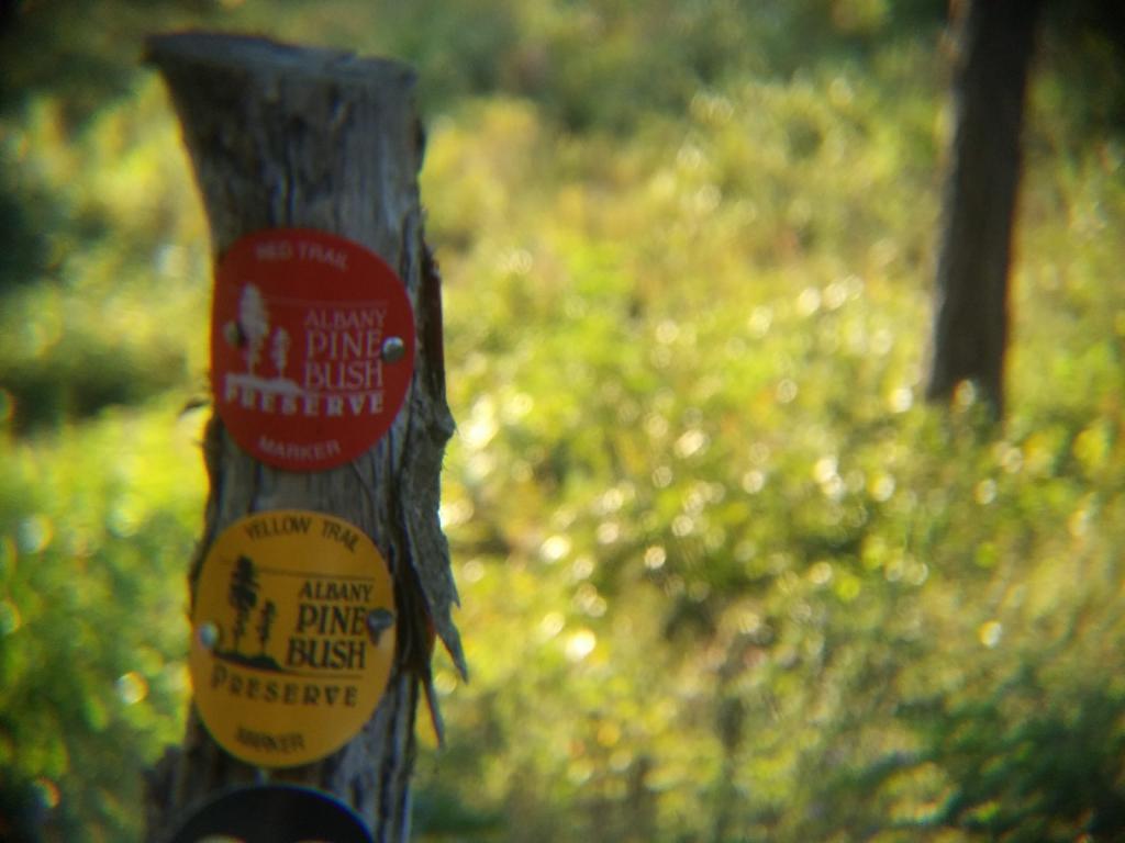 Photo: Red and Yellow Trail Photo: Red and Yellow Trail
