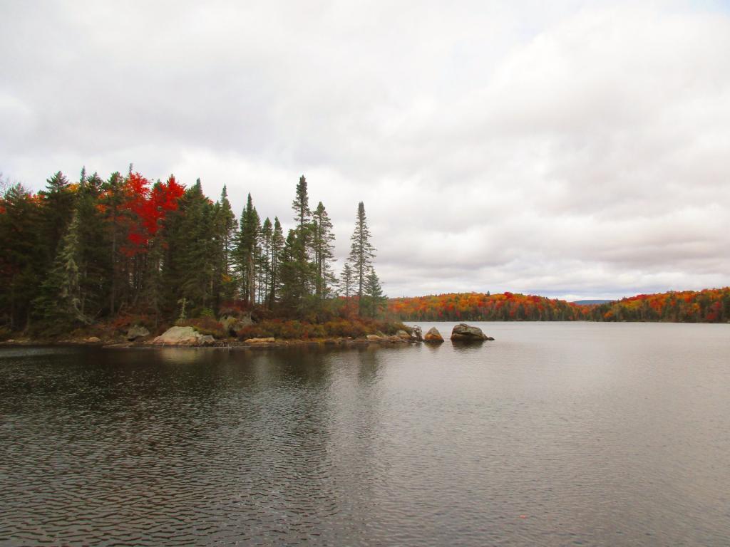 Photo: Whitney Lake Photo: Whitney Lake