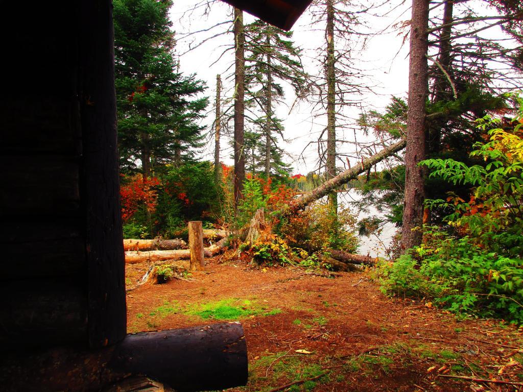 Photo: Looking Out from the Lean-To Photo: Looking Out from the Lean-To