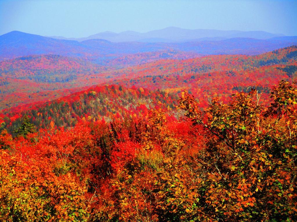 Photo: East from Sawyer Mountain Photo: East from Sawyer Mountain