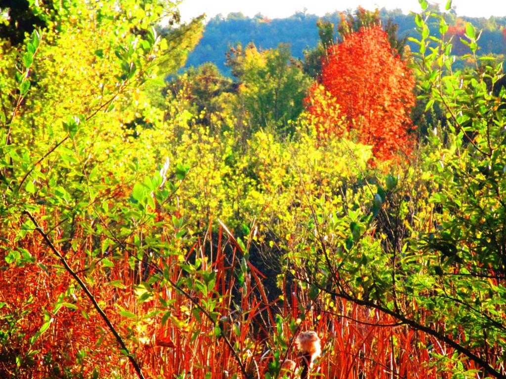 Photo: Hints of Autumn