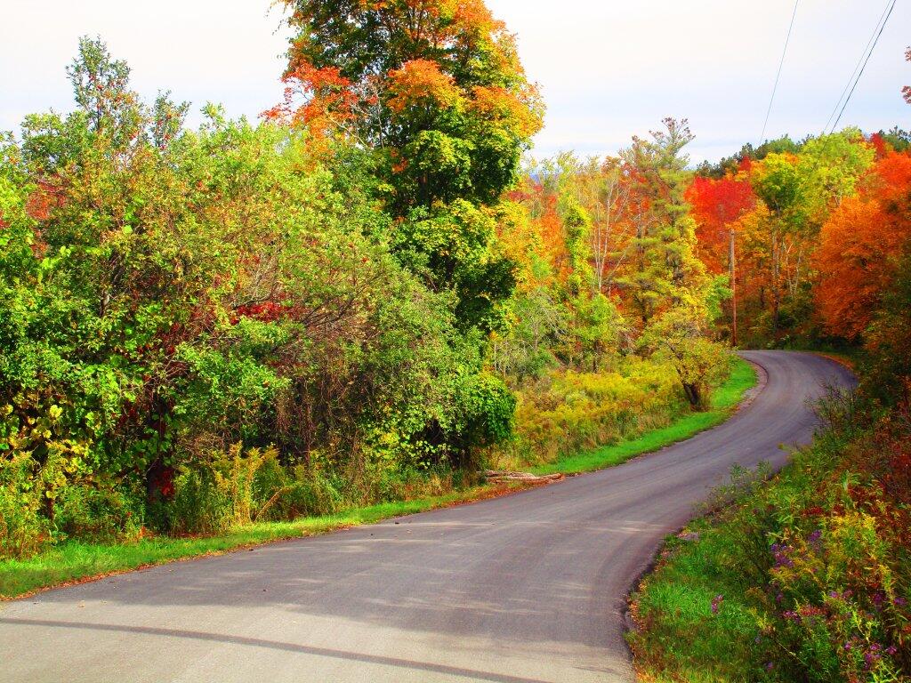 Photo: Pealey Road Photo: Pealey Road