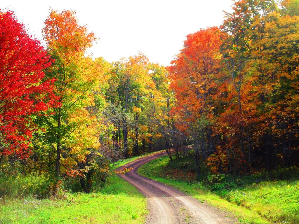 Photo: Boys Camp Road Photo: Boys Camp Road