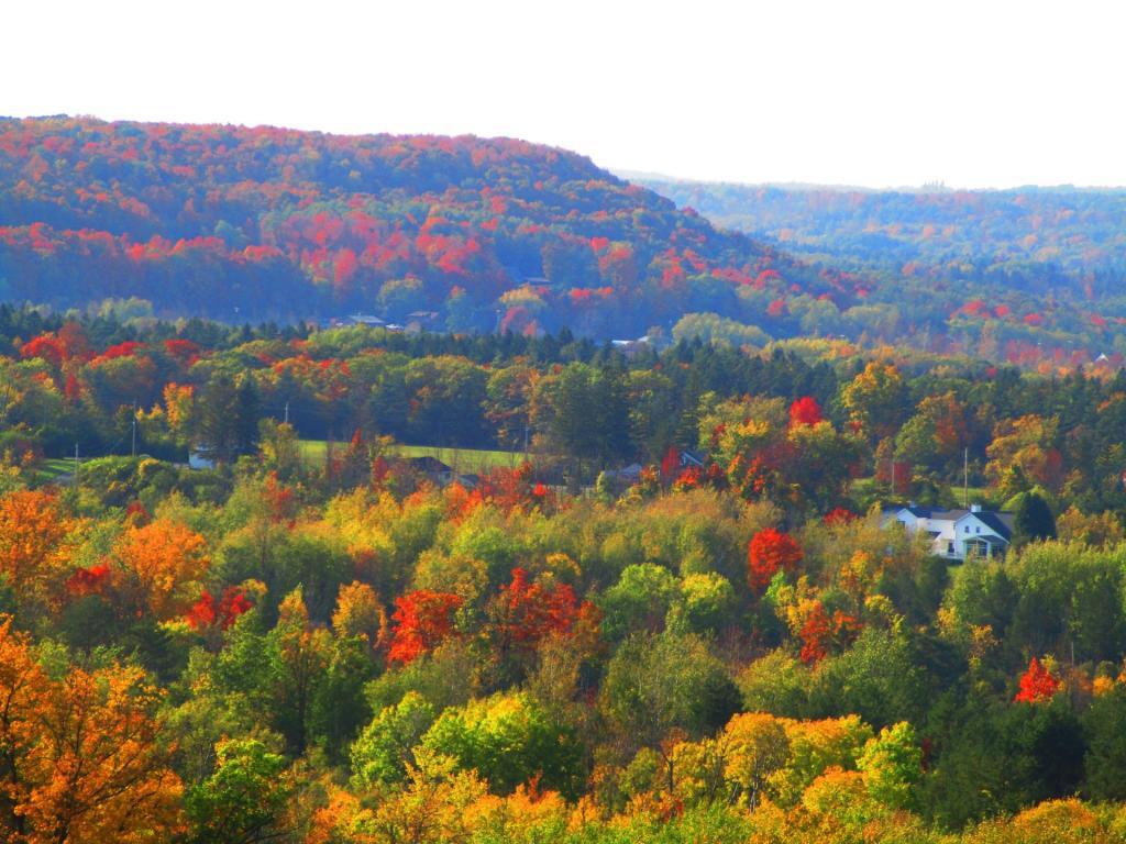 Photo: Out Towards Knox