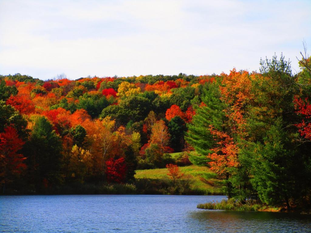 Photo: Autumn Color Photo: Autumn Color