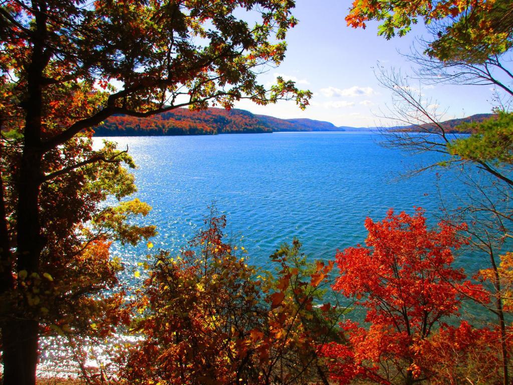 Photo: Overlook Photo: Overlook