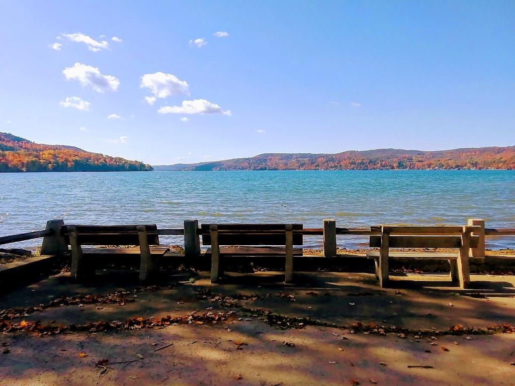 Photo: Benches