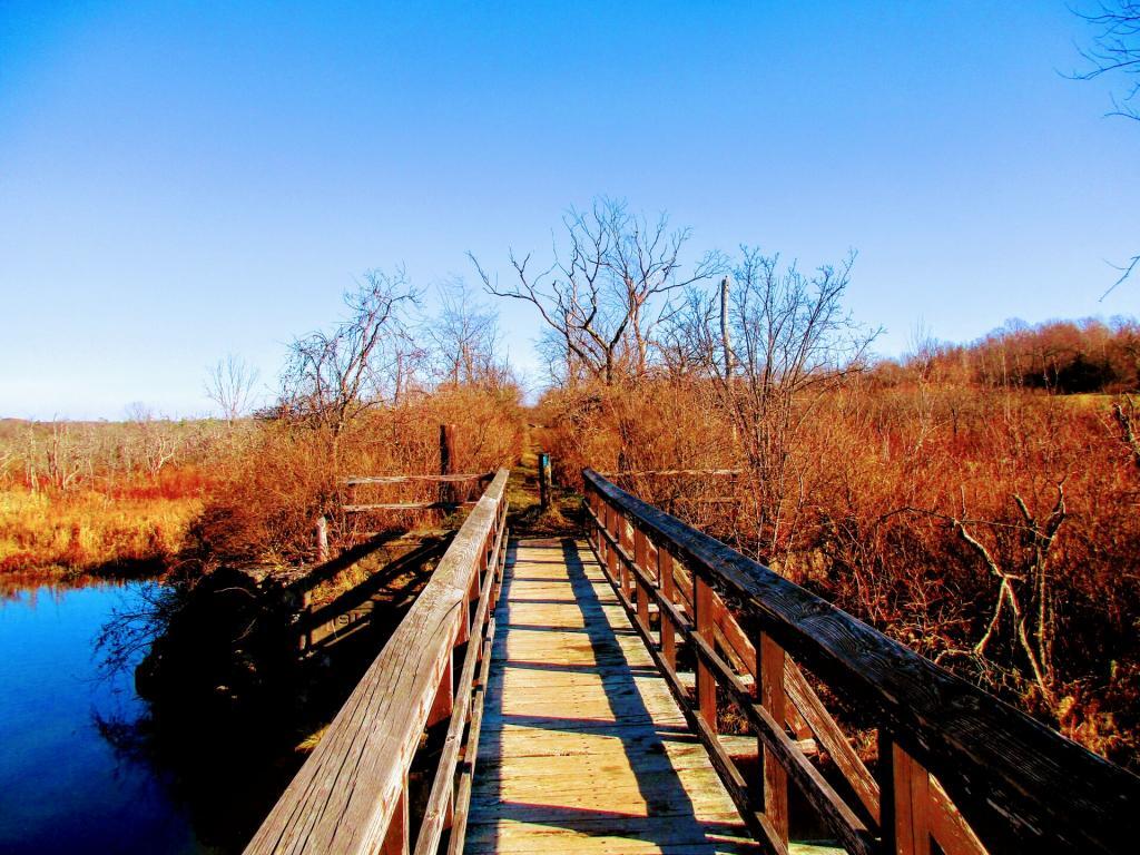 Photo: Link Trail Bridge 🌉