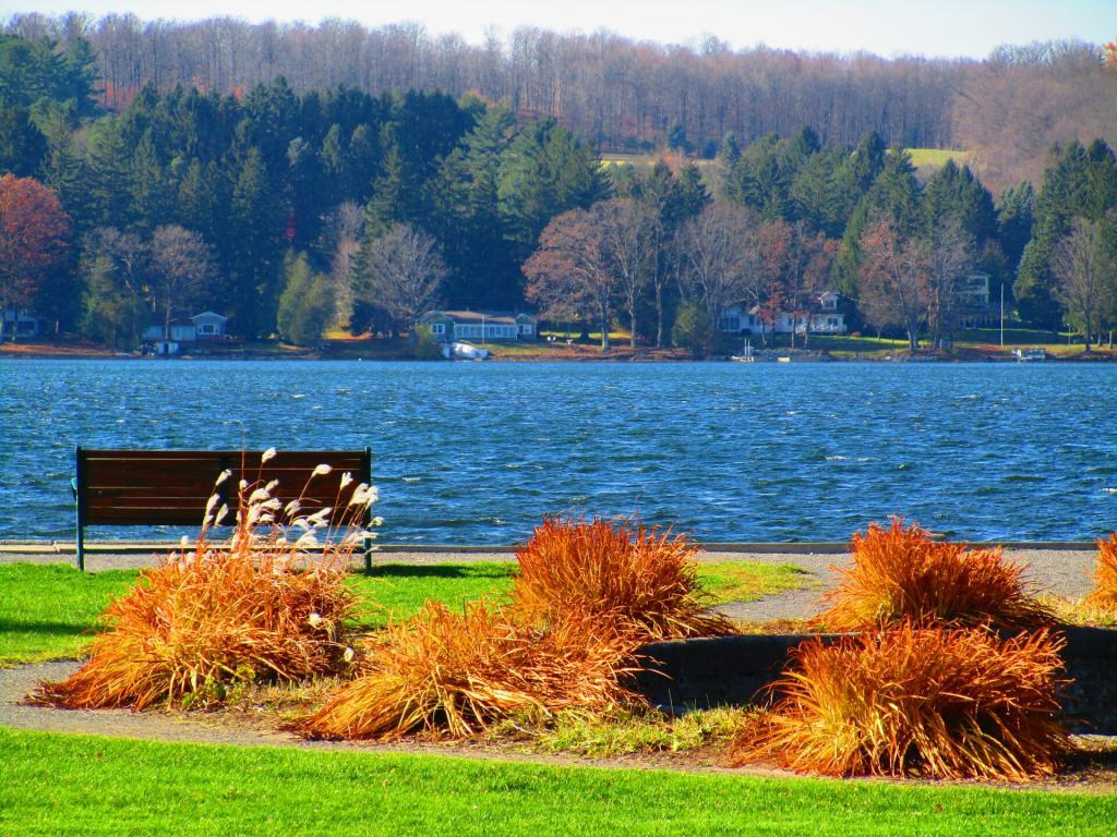 Photo: Some color along the lake Photo: Some color along the lake