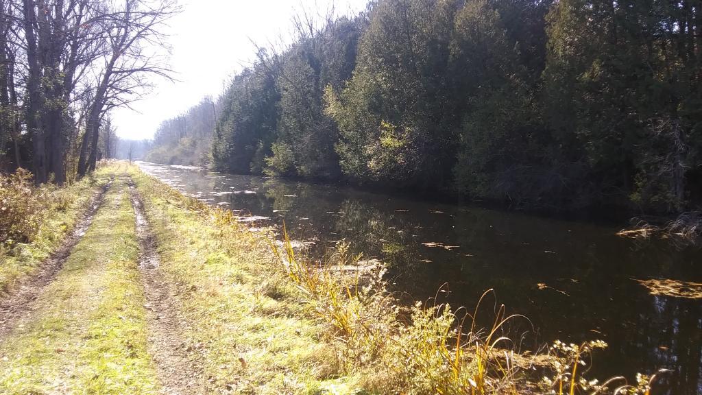 Photo: Straight away to Woodsman Pond Road Bridge Photo: Straight away to Woodsman Pond Road Bridge