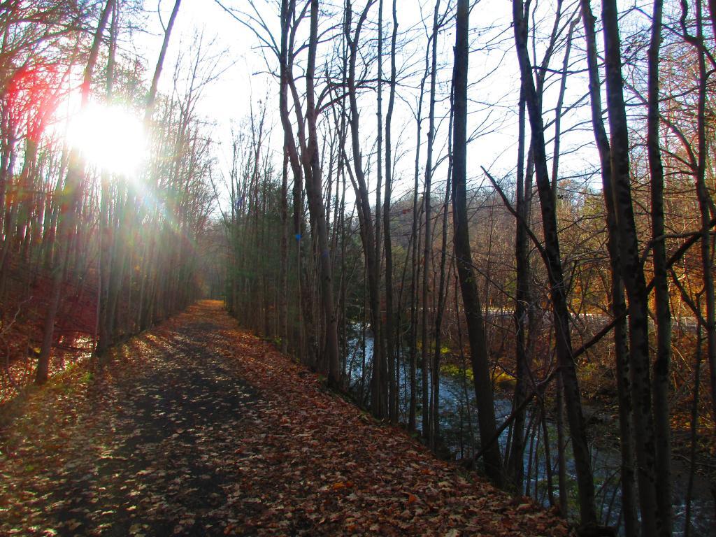 Photo: Upper Trail Winds Between the Gorge, Creek and Road Photo: Upper Trail Winds Between the Gorge, Creek and Road