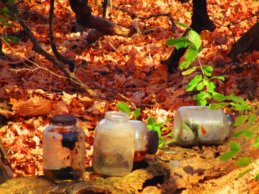 Photo: Old Jars from the Farm Dump Photo: Old Jars from the Farm Dump