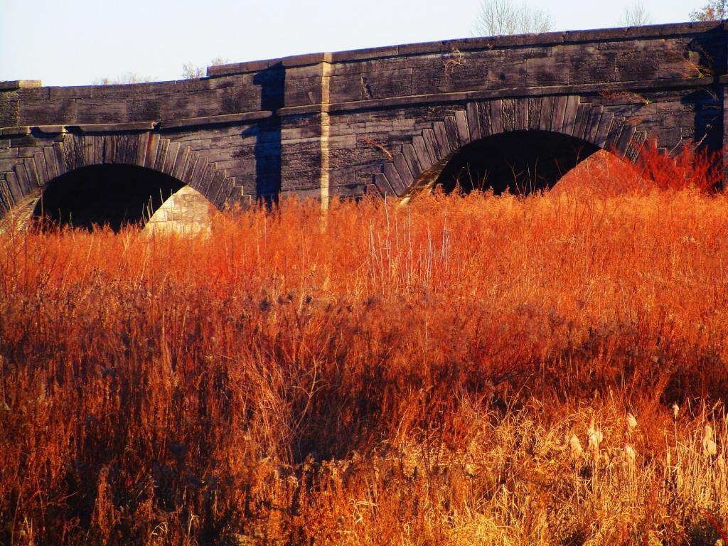 Photo: Sagging Arches