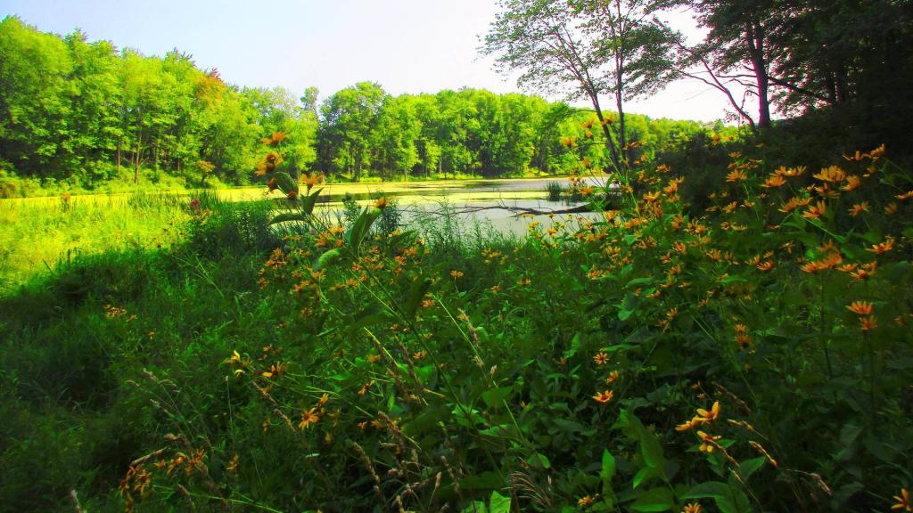 Photo: Coleman Lake