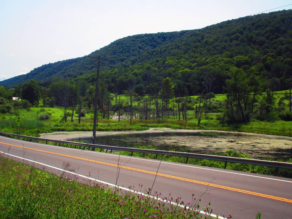 Photo: Route 34